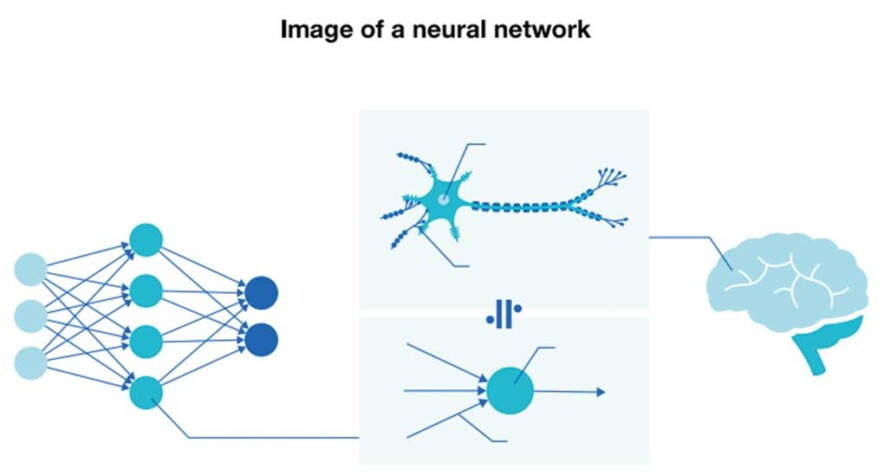 The neural network